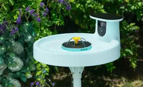 Don't Buy the Birdfy Bird Bath Pro Until You Read This Full Analysis